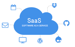 How much will the SaaS development cost for hiring a developer?
