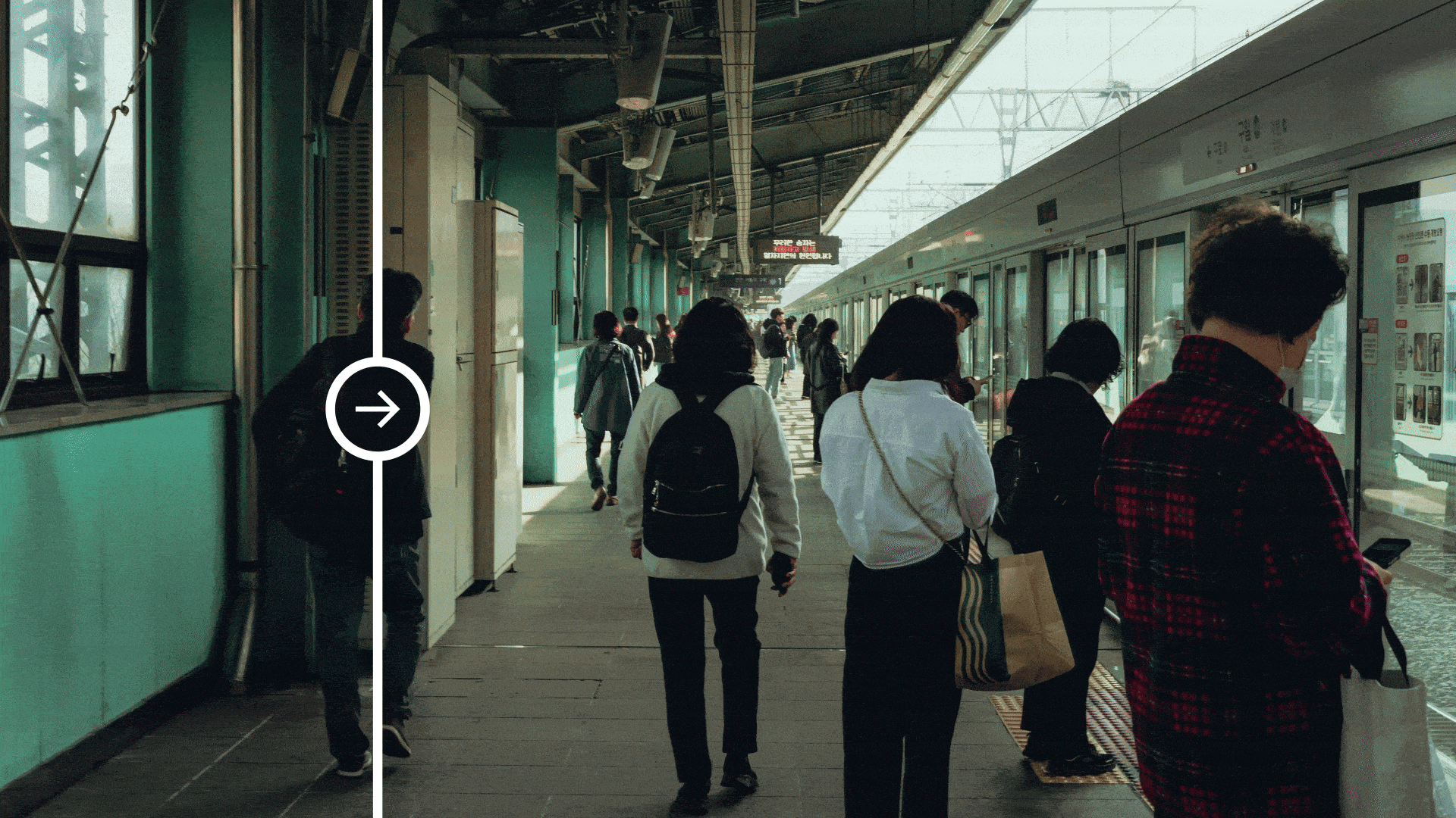 Data Annotation Services